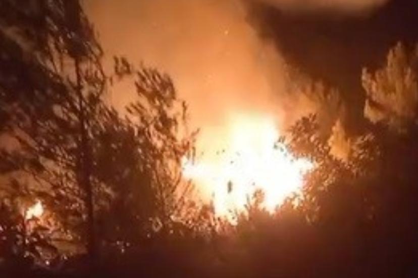 Hatay’da Orman Yangını: Gece Boyunca Süren Müdahale Devam Ediyor