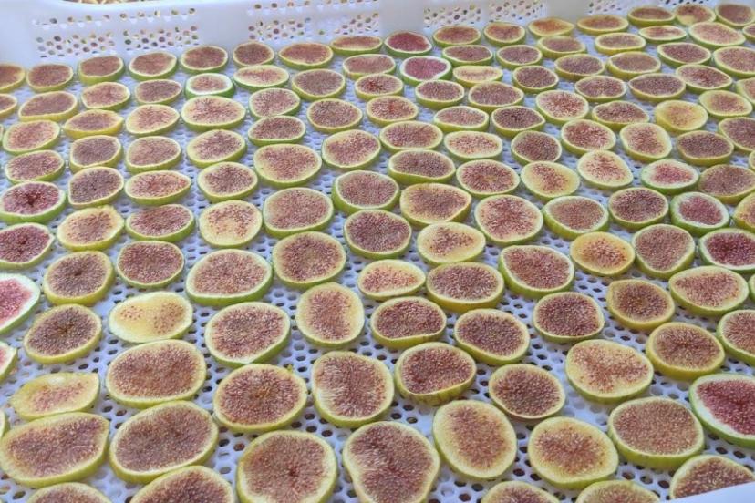 Manisa’dan yeni tat: İncir cipsi