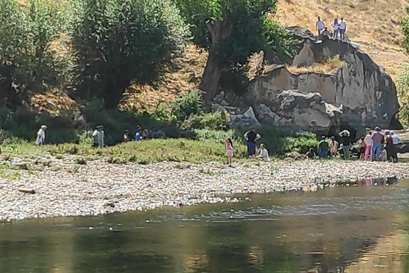 Nevşehir Sarıhıdır’da Kızılırmak’a Düşen Kuzenini Kurtaran Ensar Yiğit Hayatını Kaybetti