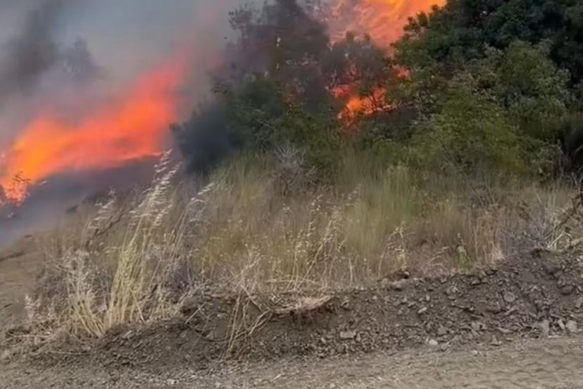 Tekirdağ’da sabah söndürülen yangın, yeniden başladı