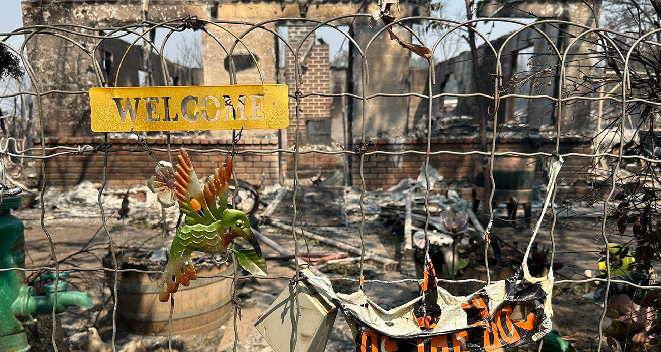 California’da Orman Yangınları 13 Bin Dönümü Kül Etti