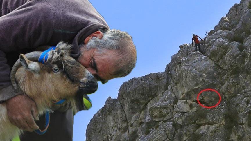 Döşemealtı’nda Kurtların Saldırdığı Keçi Uçurumdan Kurtarıldı