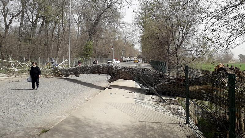 Marmara’da Kuvvetli Rüzgar ve Fırtına Uyarısı: Tedbirli Olun