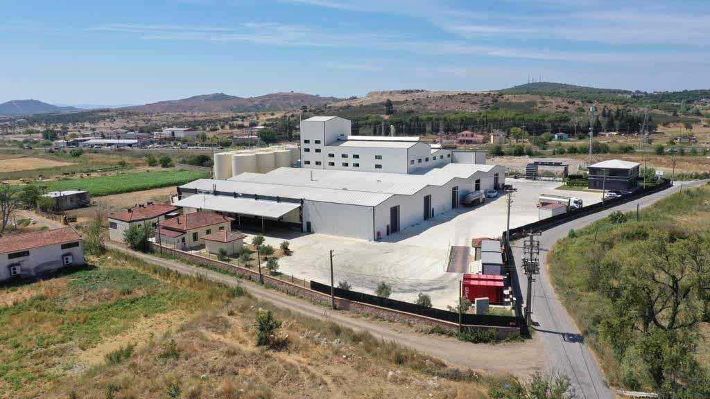 Ayvalık Zeytinyağında Premium Hedef: İhracatta 3 Kat Büyüme Planı