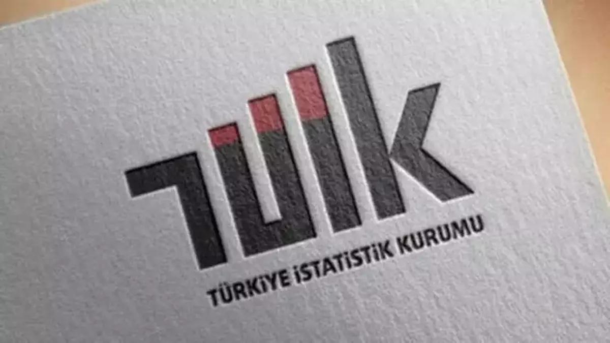TÜİK: HİZMET TİCARETİNDE BÜYÜK GİRİŞİMLER VE ULAŞTIRMA SEKTÖRÜ ÖNE ÇIKTI