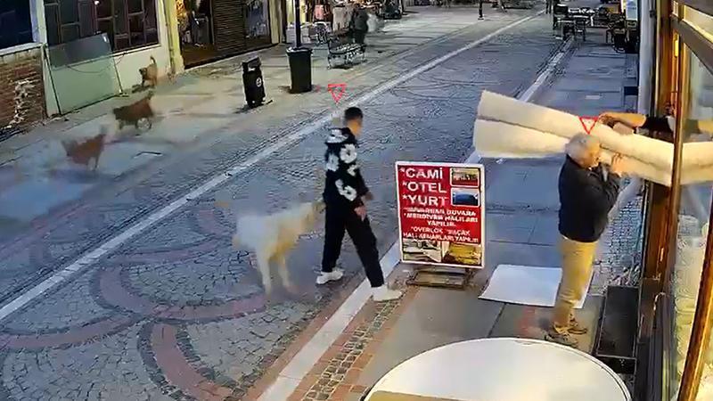 Edirne’de sokak köpeği saldırısı: Bir kişi yaralandı