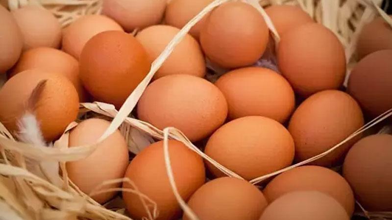 SOFRANIN TEMEL GIDALARINDA ÜRETİM ATAĞI: TÜİK MART VERİLERİNİ AÇIKLADI!
