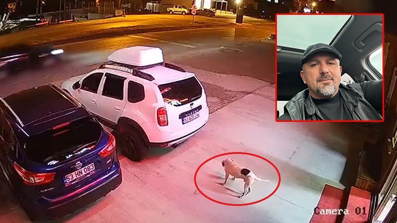 ARDEŞEN’DE FECİ KAZA: KÖPEKTEN KAÇARKEN ATV TAKLA ATTI, SÜRÜCÜ ÖLDÜ