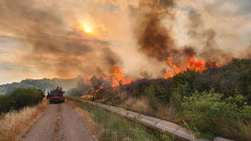 Çanakkale’de Kuvvetli Rüzgâr Uyarısı: Hasat Faaliyetlerine Saat Kısıtlaması