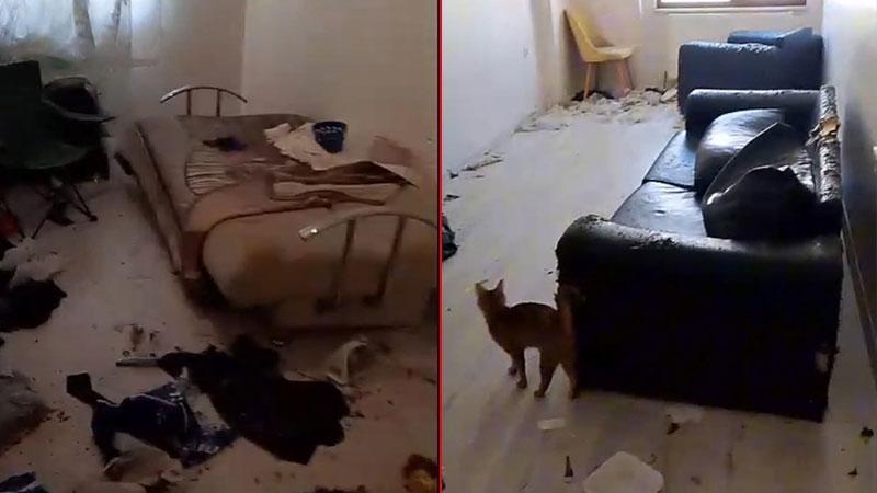 Aylardır Süren Koku Şikayeti Gerçeği Ortaya Çıkardı! Evden Çöp ve Bakımsız Kediler Çıktı