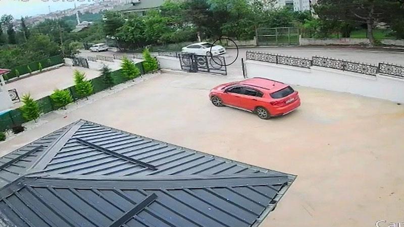 Köpeğini Otomobilin Ezdiğini Gören Genç Kız Bayıldı