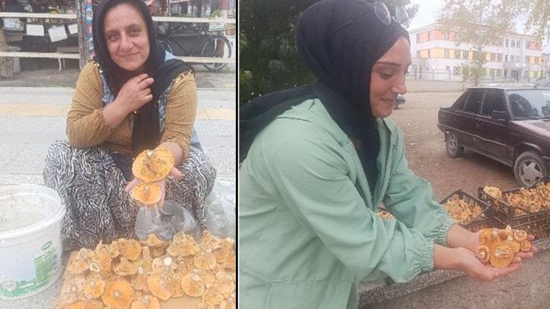 Dağlarda saatlerce mantar arıyorlar: Kilometrelerce sırtlarında taşıyorlar
