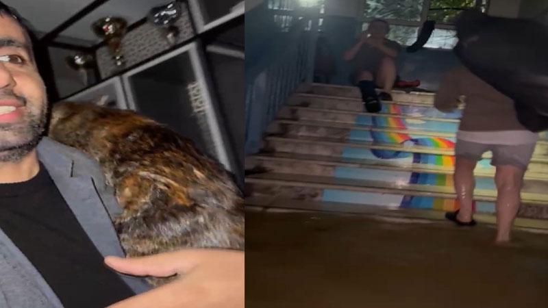 Arnavutköy’de su basan dairede mahsur kalan kedileri muhtar kurtardı
